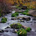 Autumn On Mill Creek
