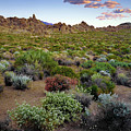 High Desert Hues